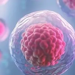 Proven to maintain cell pluripotency, normal karyotype, and proliferation ability post-thaw