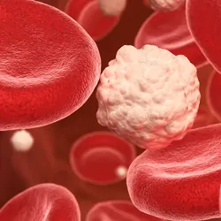 Computer image of white fat with blood cells