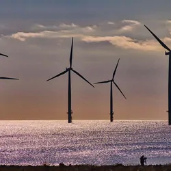 Image of offshore wind turbines