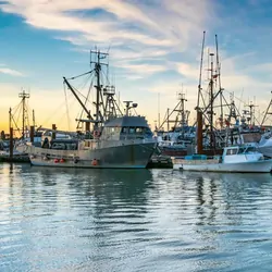 Image of fishing boats at dock