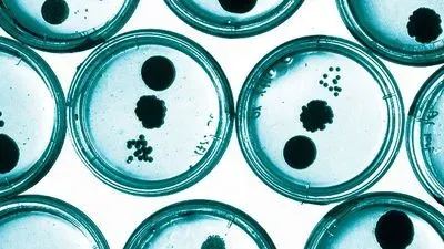 Cutting Contamination in Your CO2 Incubator