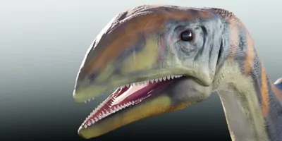 Computer reconstruction of Issi saaneq