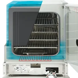 In VitroCell Incubator