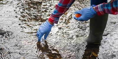 Scientists wearing gloves taking a water sample from a stream