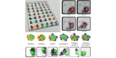 New CAR-T Assay platform