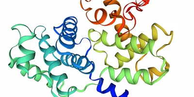 Computer image of protein molecules on a white backgrond