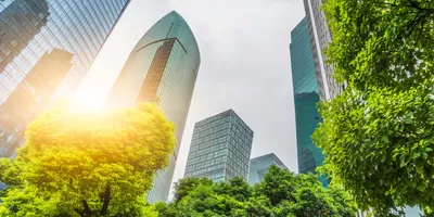 Photo of skyscrpers rising above trees taken from the ground looking up
