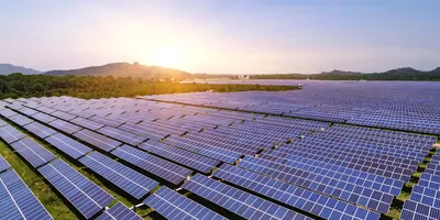 A solar farm at dawn