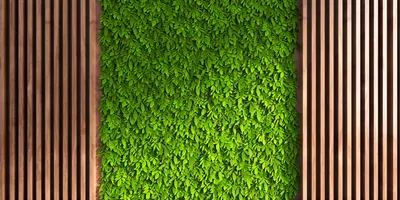 A wall covered in plant life inside a building