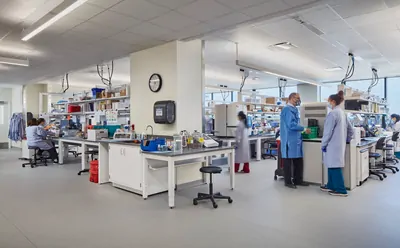 Loyola Medicine has opened a new, 30,000 square foot regional clinical laboratory facility to serve its recently expanded three hospital system, including the Loyola University Medical Center, Gottlieb Memorial Hospital, and MacNeal Hospital. The laboratory was planned and designed by HED, an integrated design firm with a long history of work in the healthcare sector.