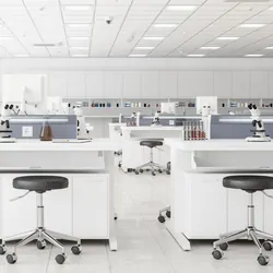 lab safety culture fits into organizational culture