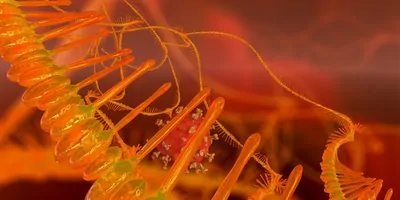 Computer image of RNA chain