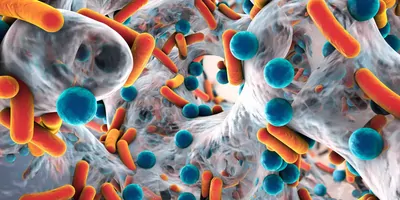 Computer image of bacteria making a biofilm
