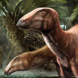 An adult and two juvenile individuals of the dinosaur Tethyshadros insularis showing the different appearances