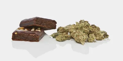 Cannabis and brownies on a white background
