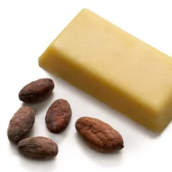 Cocoa butter and some cocoa beans on a white background