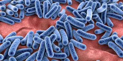 Computer image of bacteria in a microbiome