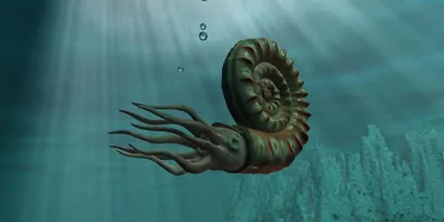 Computer image of a Nautilaus in the ocean
