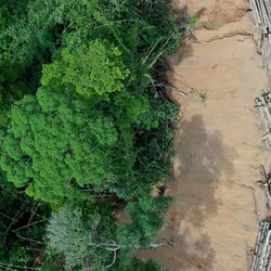 Aerial shot of a forest being clearcut
