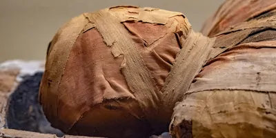 A human mummy wrapped and laying on a stone slab