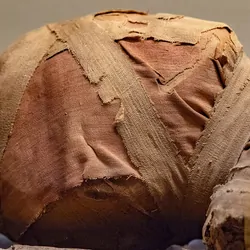 A human mummy wrapped and laying on a stone slab