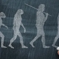 Evolution of man on a chalk board