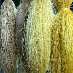 Raw silk threads hung up