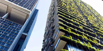 looking up at two appartment buildings, one is covered in plants
