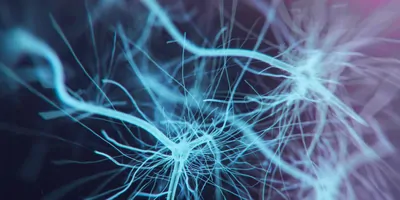 Computer image of neurons connecting to each other, colored blue