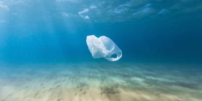 A bag floating underwater in a clear ocean