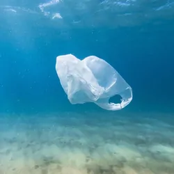 A bag floating underwater in a clear ocean