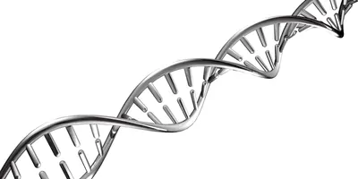 DNA model made out of metal on a white background
