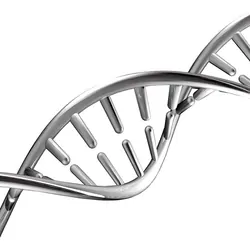 DNA model made out of metal on a white background