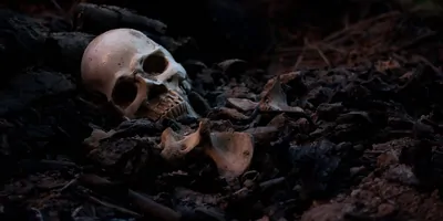 A human skull lying in the dirt