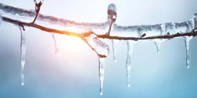 Ice on a stick, melting in the sun