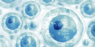 Cells on scientific background.