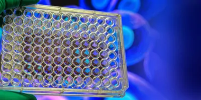 cell culture plate