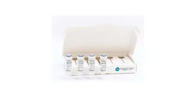 A pack of samples on a white background