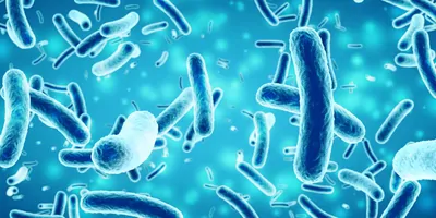 Bacteria on a blue background