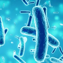 Bacteria on a blue background