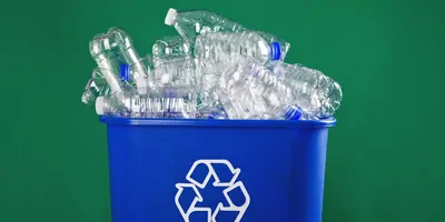 A recycling bin filled with empty plastic bottles