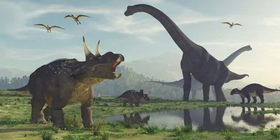 Dinosaurs eating and roaming in a swamp