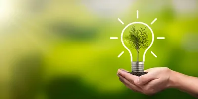 Hands holding a small tree in soil with a light bulb drwan around it to symbolize an idea