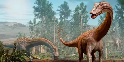 Drawing of long necked dinosaurs in a forest