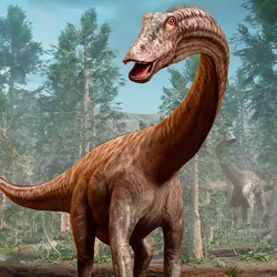 Drawing of long necked dinosaurs in a forest