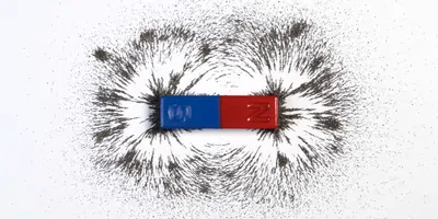 A magnet surrounded by iron shavings
