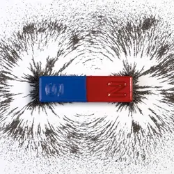 A magnet surrounded by iron shavings