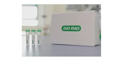 Tubes with liquid in them resting on a table
