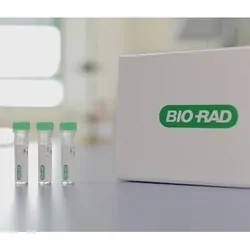 Tubes with liquid in them resting on a table