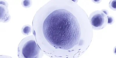 Human cells floating on a white background